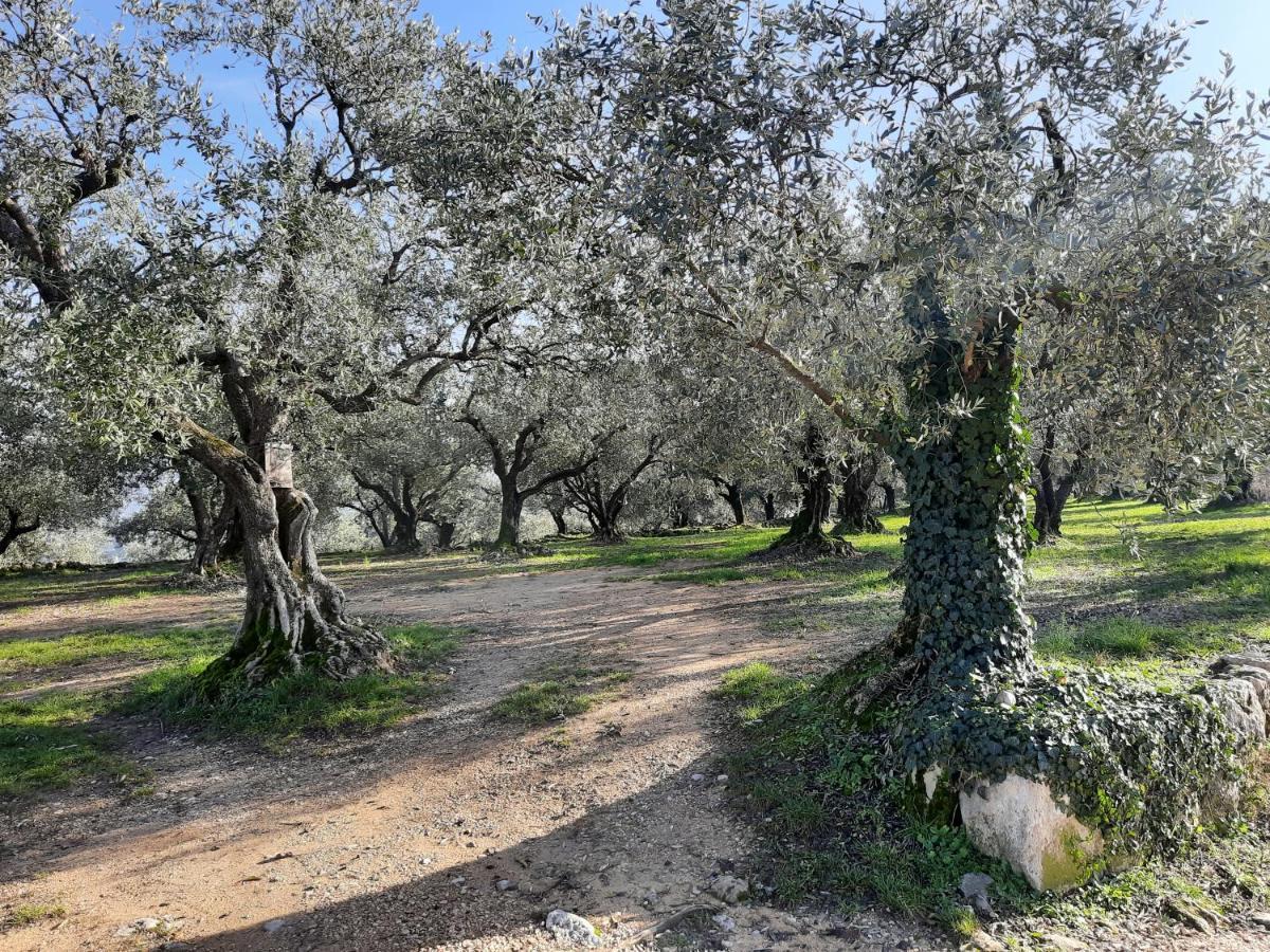 Florivana Boutique Hotel Ristorante San Pietro in Cariano Εξωτερικό φωτογραφία