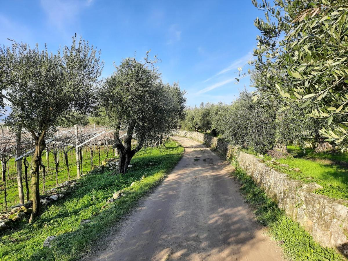 Florivana Boutique Hotel Ristorante San Pietro in Cariano Εξωτερικό φωτογραφία